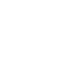icon1 icon1